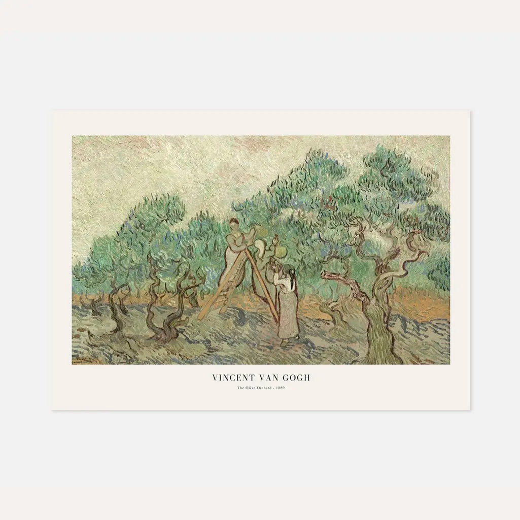 Vincent van Gogh Poster – Olijfboomgaard