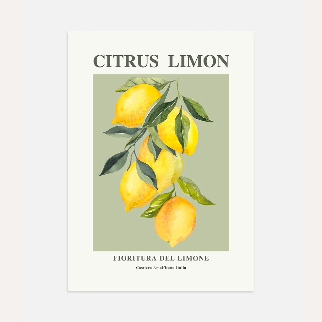 Citroentak Poster