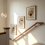 abstract terracotta beige poster set of 3 mid century style wall art