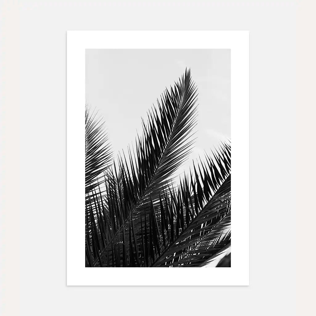 black white palm poster wall art