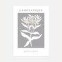 botanique grey bloom poster cream floral line art grey background