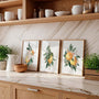 yellow citrus botanical poster set wall art for kitchen decor