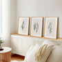 feather illustration poster set of 3 black beige scandinavian minimalist decor