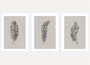 minimal feather line art poster set of 3 black beige wall art for bedroom decor
