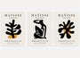 henri matisse black mustard poster set wall art