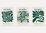henri matisse poster set of 3 botanical green leaves wall art