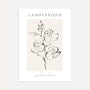 Linear floral finesse poster with delicate botanical line art in minimalist style
