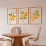 yellow green citrus composition poster set wall art for living room decor