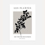minimalist botanical silhouette poster black grey modern wall art