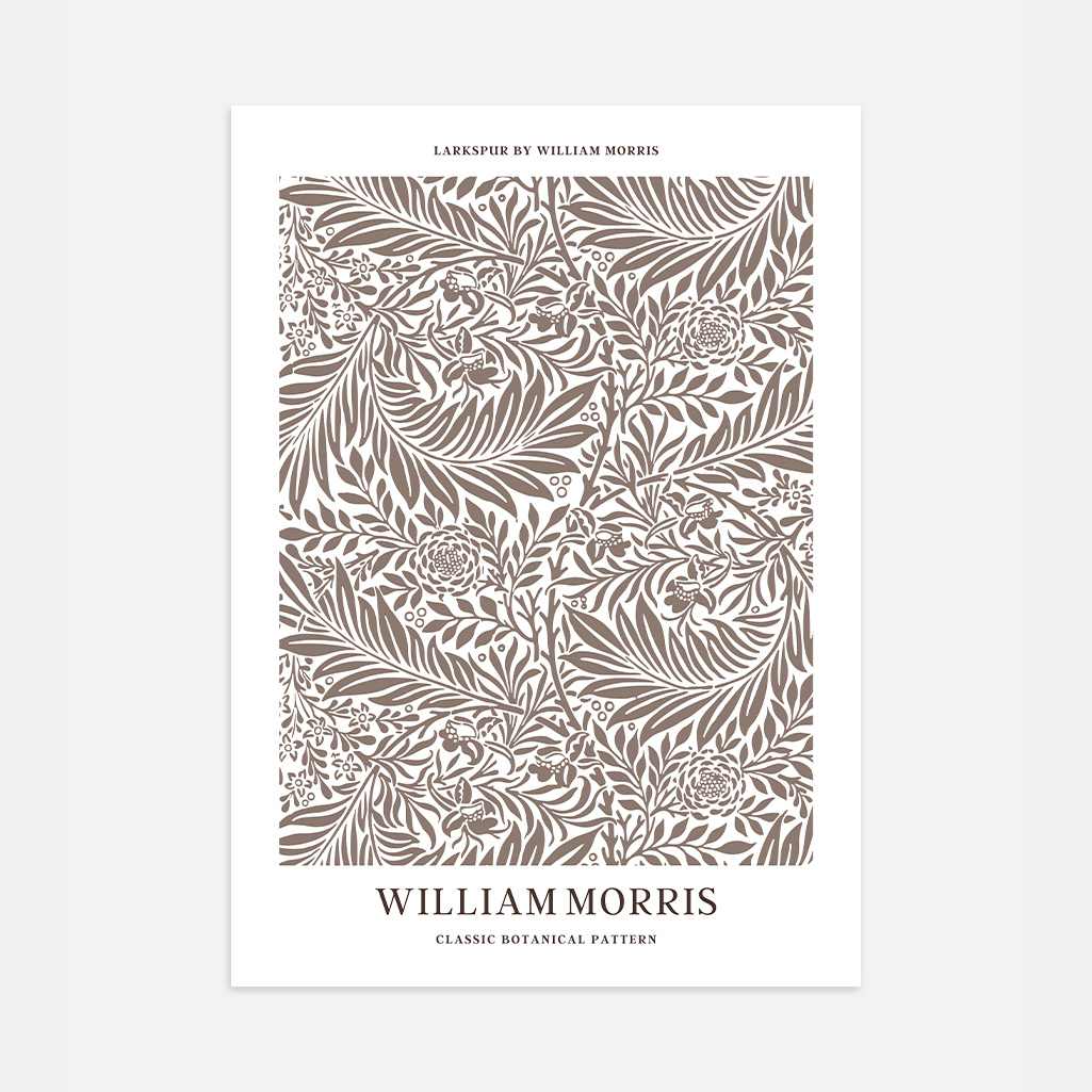 Poster – Ridderspoor Botanisch